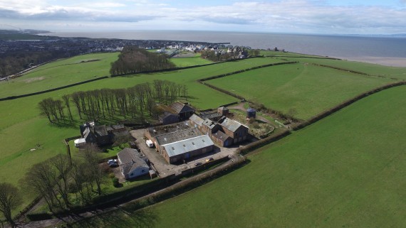 aerial view of farm