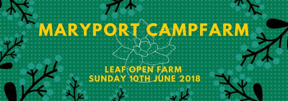 NECT Maryport farm sunday Open farm sunday maryport