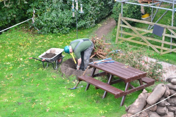 replanting the fuschia